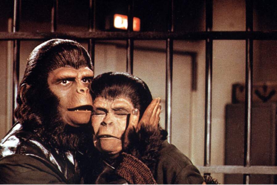 Les évadés De La Planète Des Singes Streaming La Planète des singes au cinéma - Télé 2 Semaines