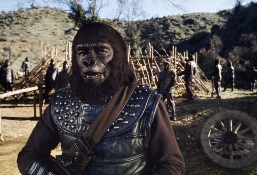 La Bataille De La Planete Des Singes La Planète des singes au cinéma - Télé 2 Semaines