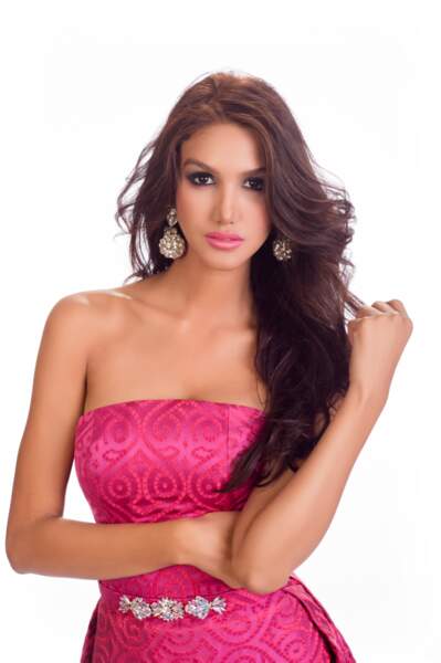 Kimberly Castillo, Miss République Dominicaine 2014