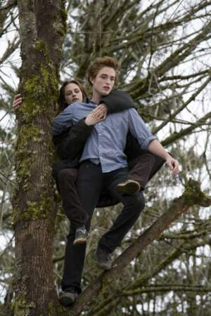Edward et Bella - Twilight chapitre 1 : Fascination