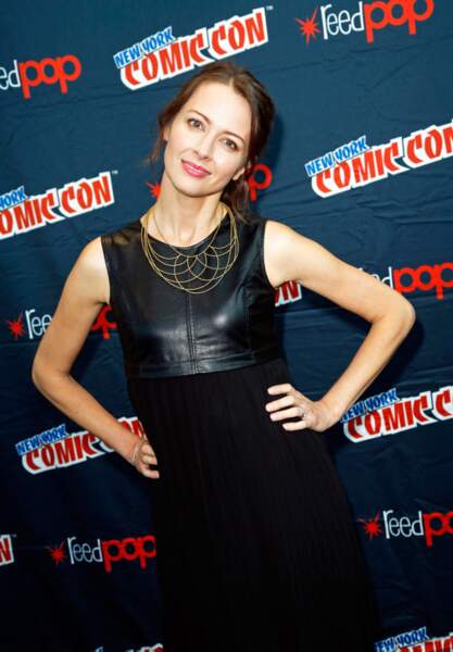 Amy Acker (Person Of Interest).