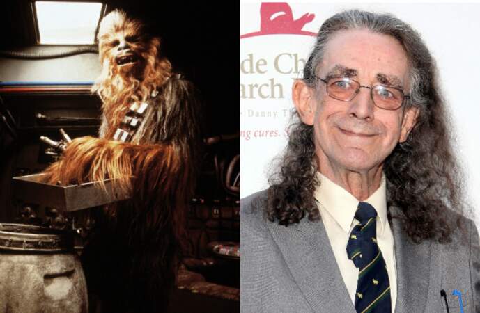 Le Wookiee Chewbacca sera à nouveau interprété par le géant anglais Peter Mayhew (2,21m)