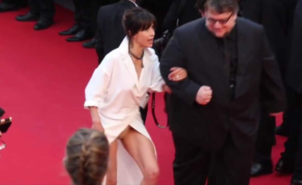 Nouvel accident de lingerie en 2015, où elle est jurée du 68è Festival de Cannes... le ferait-elle exprès ?