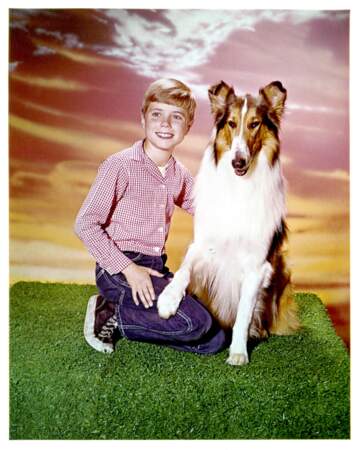 Lassie (20 saisons, 1954-1975)