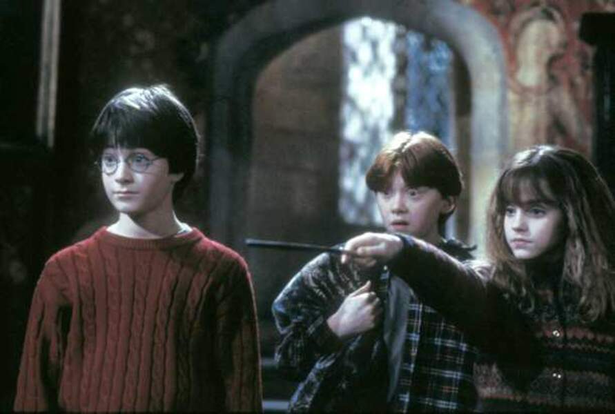 Harry Potter à l'école des sorciers, de Chris Colombus (2001)