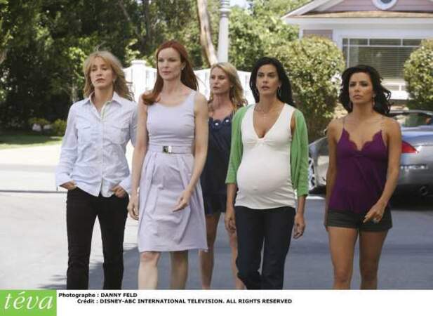 Desperate Housewives - Wisteria Lane