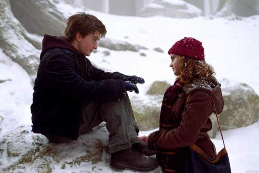 Harry Potter et le prisonnier d'Azkaban, d'Alfonso Cuaron (2004)  