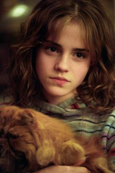 Harry Potter et le prisonnier d'Azkaban, d'Alfonso Cuaron (2004) 