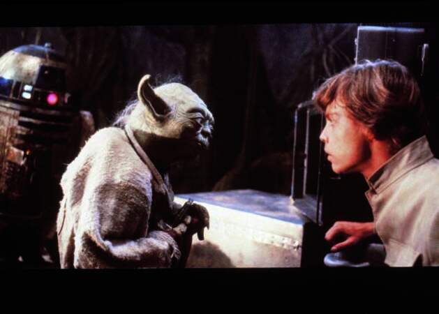 Maître Yoda et Luke Skywalker