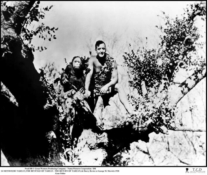 En 1920, Gene Pollar est Tarzan dans Le Retour de Tarzan !