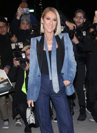 Celine Dion à New York (2019)