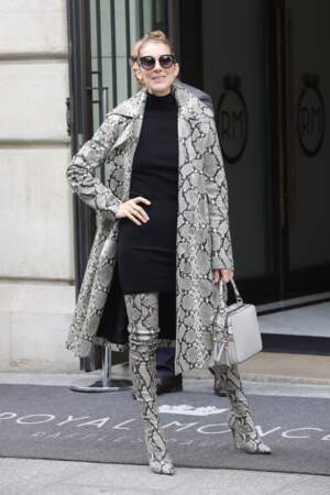 Céline Dion à Paris (2017)